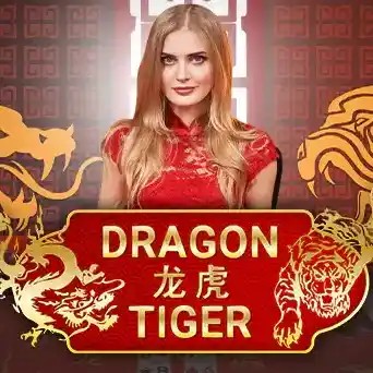 Try Dragon Tiger slot by Evolution on run4wincasino.fyi – logo image
